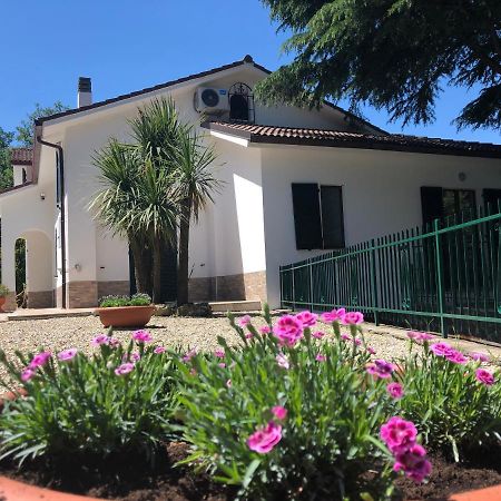 טויראנו B&B Zac House מראה חיצוני תמונה